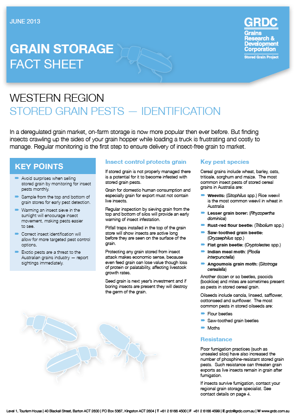 Grain Storage Fact Sheet: Stored Grain Pests - Identification (Western Region)