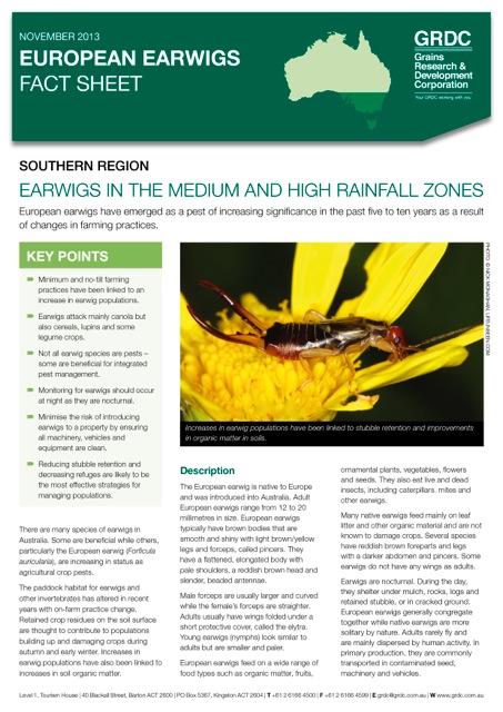 Cover page of the European earwigs fact sheet