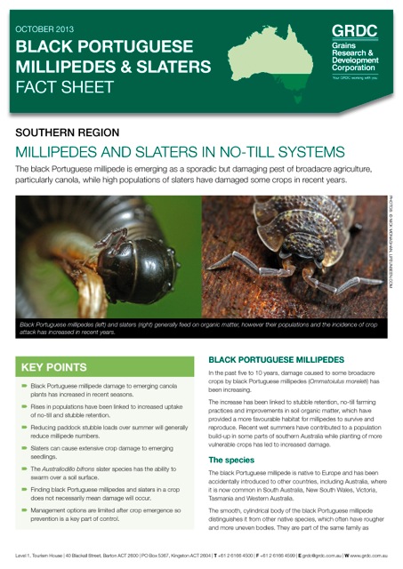 Cover page of the Black Portuguese Millipedes and Slaters Fact Sheet