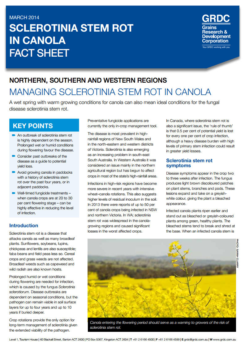 Sclerotinia in canola fact sheet