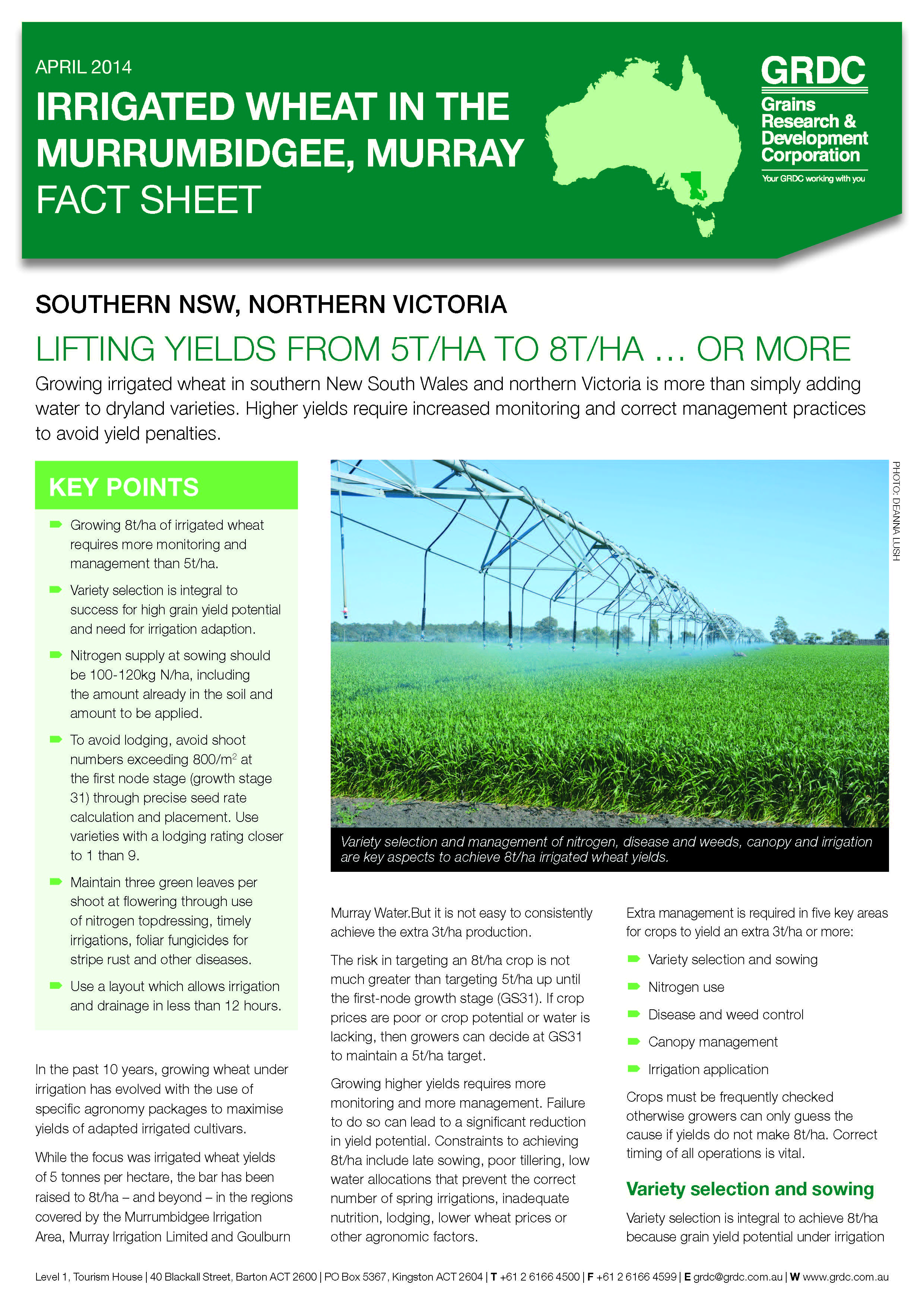 Cover image of the GRDC Irrigated Wheat in the Murrumbidgee and Murray Fact Sheet
