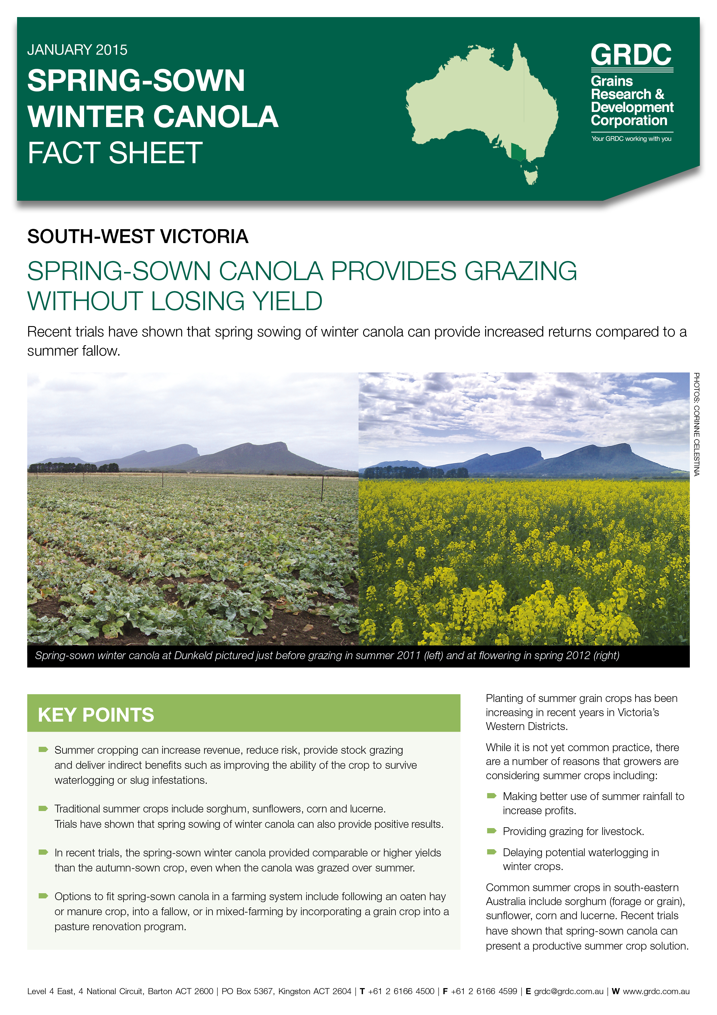 Spring Sown Canola Fast Sheet coverpage