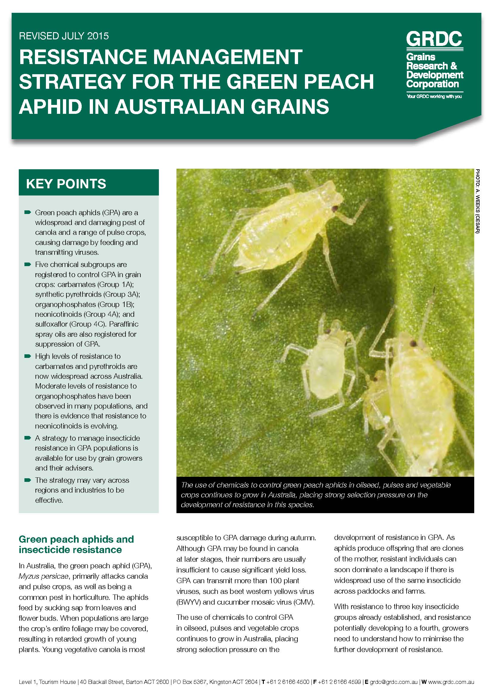 Green Peach Aphid Resistance management strategy