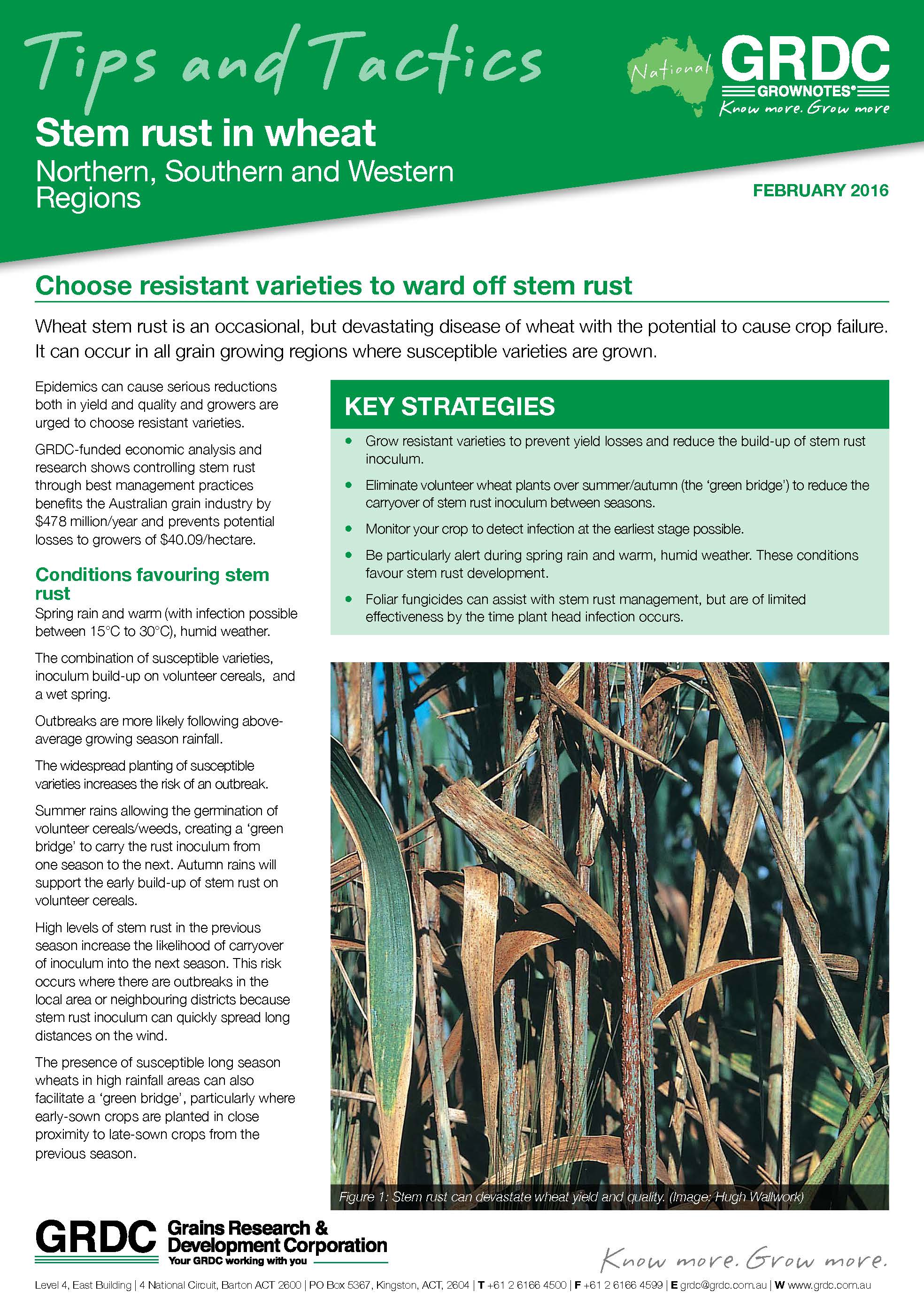 A GRDC magazine cover page