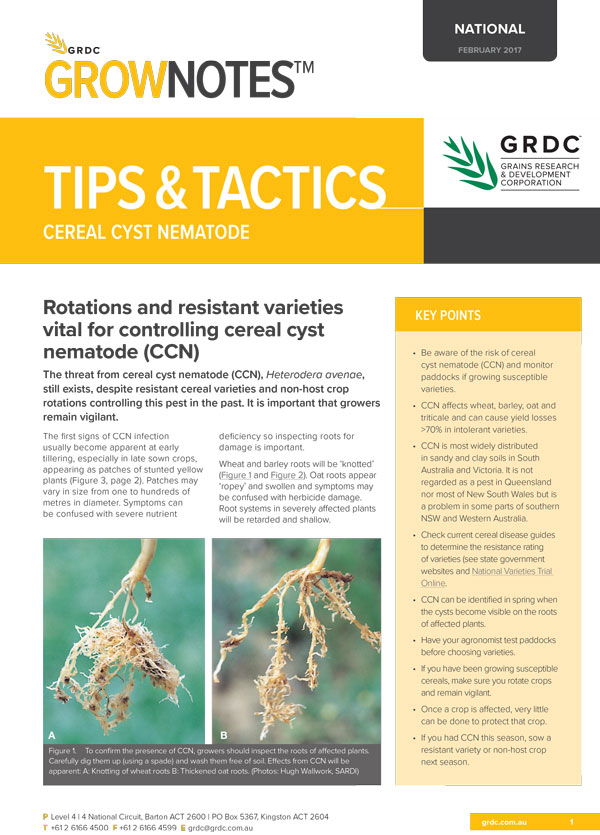 Tips and Tactics Cereal Cyst Nematode Cover image