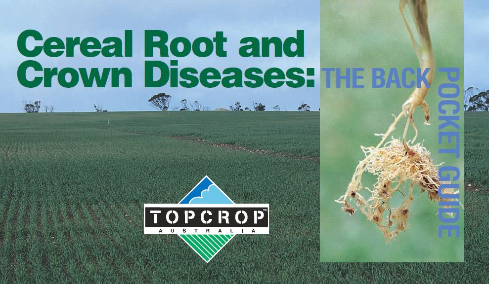 Cereal Root and Crown Diseases The Back Pocket Guide