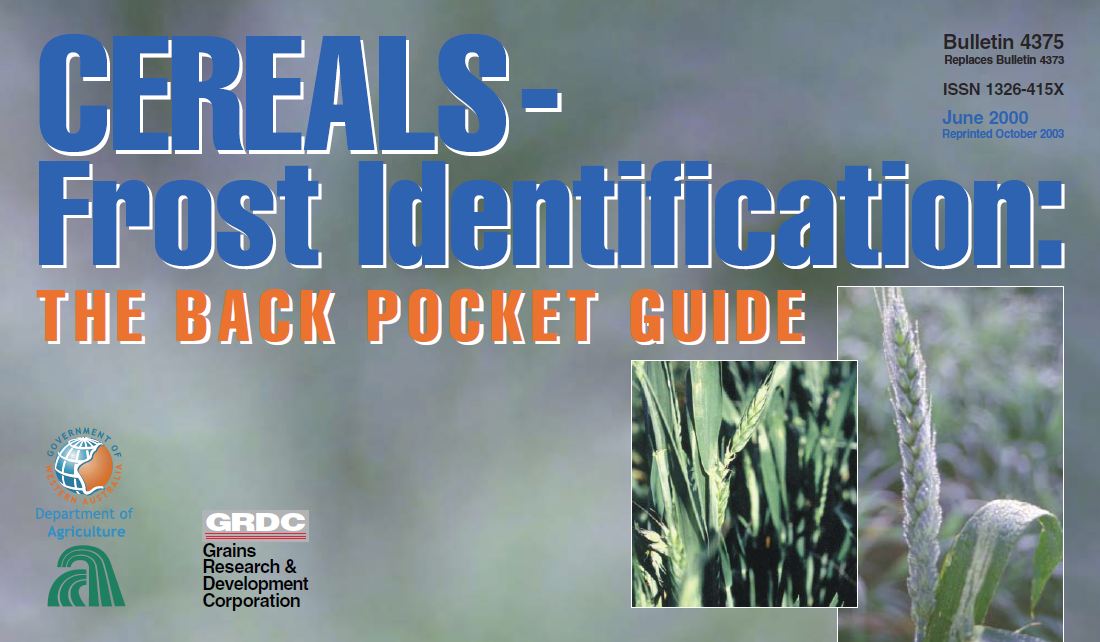 Cereals Frost Identification The Back Pocket Guide