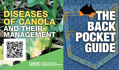image of the front cover of the Diseases of Canola and their management Back Pocket Guide