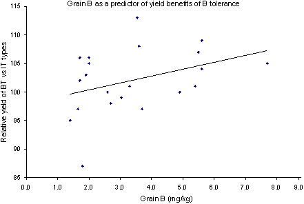 Scatter graph depicting the relationship between grain B concentration and relative yields of B tolerant versus B intolerant isolines (r2 = 0.14). The vertical axis is titled "Relative yield of BT vs IT types". The horizontal axis is titled "Grain B (mg/kg)".A line of best fit is plotted from approximately (110,1.0) to approximately (105,8.0).