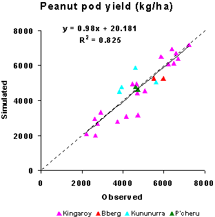 Figure 1. Relationship between observed and APSIM simulated peanut pod-yield in different environments