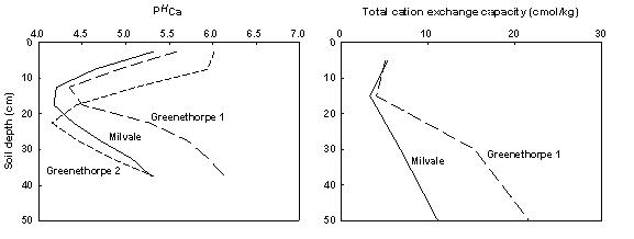 Profiles of soil pH and cation exchange capacity in autumn 2007