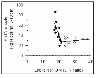 Figure 2 The relationship between quality of labile carbon (C/N ratio) and soil nitrogen supply (kg N/ha) in WA arable soils.