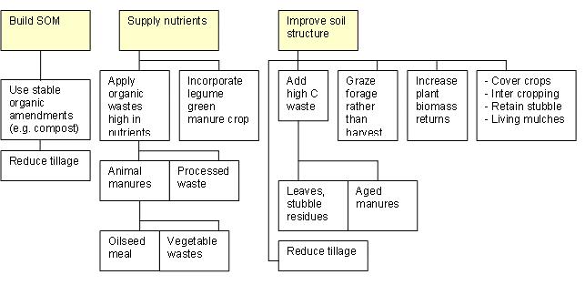 Figure 3 Management practices to increase soil organic carbon and improve soil function. 