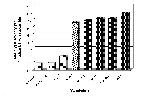 Figure 1: Resistances of some mungbean varieties and breeding lines to P.s.phaseolicola