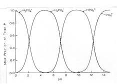 Figure 1.3 (right)  The effect of pH on the form of orthophosphate present in solution.