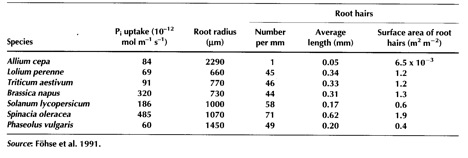 Table 2.4  Phosphorus uptake by seven plant species in relation to root morphology.