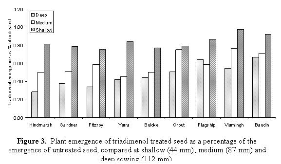 Figure 3.  Plant emergence of triadimenol treated seed as a percentage of the