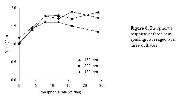 Figure 6. Phosphorus response at three row-spacings, averaged over three cultivars.