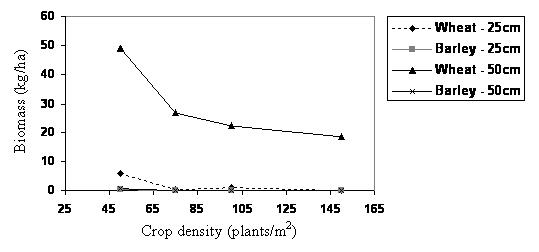 Figure 4.  Sowthistle biomass in wheat and barley crops of different row spacing and plant density.