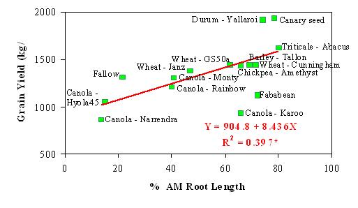 Figure 2. Relationship between the grain yield of wheat (cv. Batavia) and the mycorrhizal