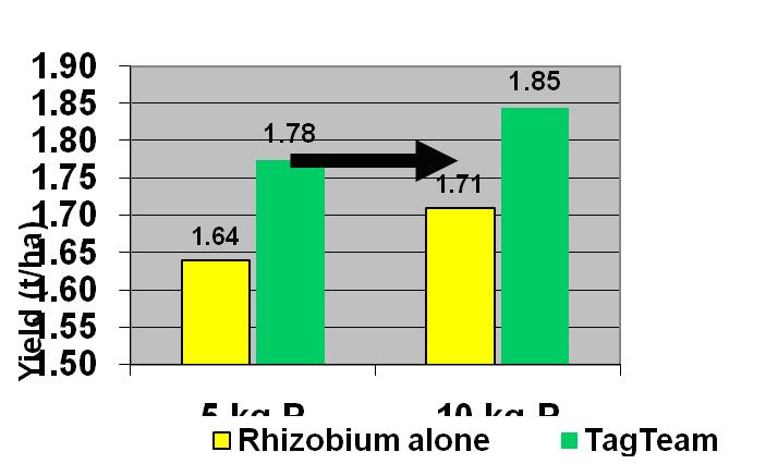 Figure 1. The effect of TagTeamTM on the yield of Field Peas