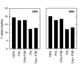 Figure 6.  Average P uptake for wheat