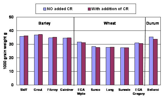 Figure 4. 1000 grain weight by variety 2007