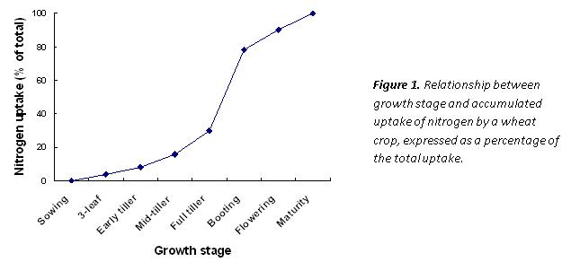 Figure 1. Relationship between growth stage and accumulated uptake of nitrogen by a wheat crop