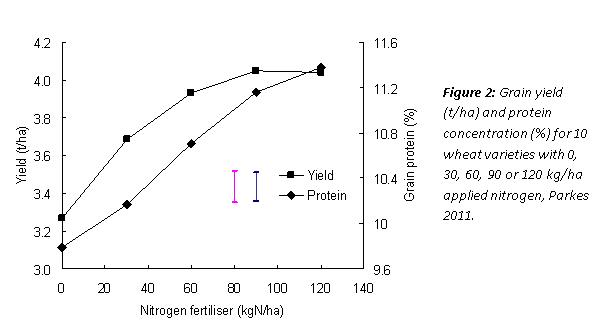 Figure 2. Grain yield and protein concentration