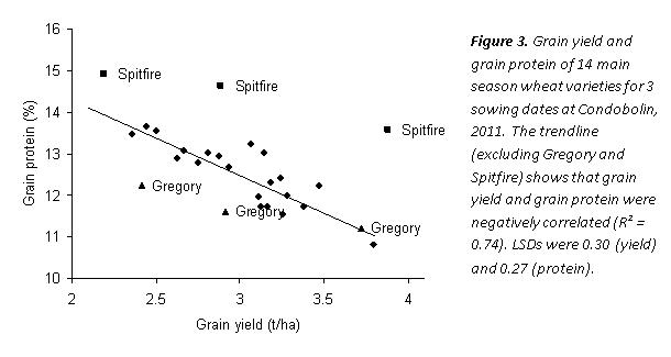 Figure 3. Grain yield and grain proteing