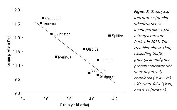 Figure 5. Grain yield and protein for nine wheat varieties averaged across five nitrogen rates at Parkes in 2011