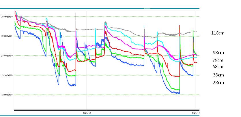Figure 2. Beckom Barley 2012 Separate sensor graph 2011-2013