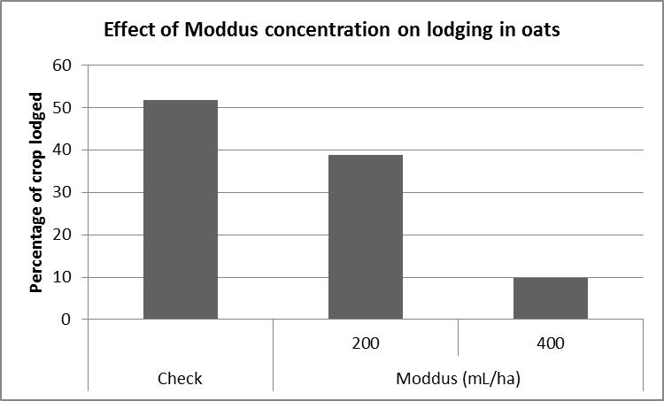 Figure 3. Effect of Moddus concentration on lodging in oats