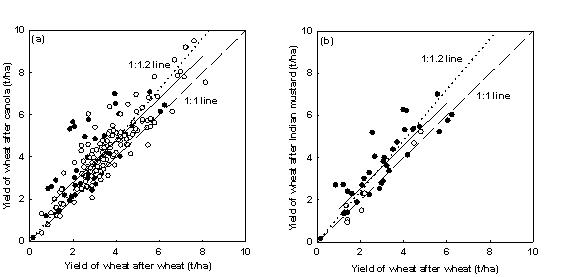 Figure 1. Effect on wheat grain yield of a previous crop of canola or Indian mustard
