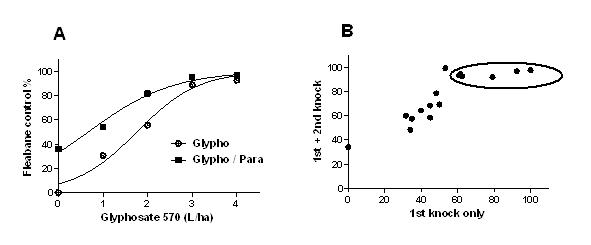 Figure 2. Fleabane dose response to herbicide