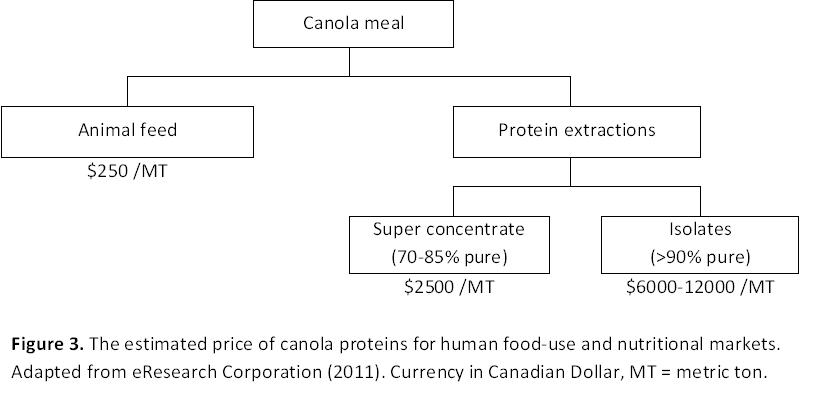 Figure 3. The estimated price of canola proteins for human food-suse and nutritional markets