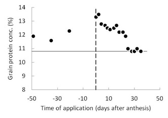 Figure 4.   The effect of applying a foliar application of urea at different times during the growing season on the grain protein concentration of wheat.  The horizontal line is the grain protein concentration when no N was applied.