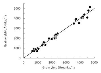 Figure 5.  The relationship between the grain yield using urea or UAN as the source of N.  The data were from trials on the Eyre Peninsula, Yorke Peninsula, Hart and Birchip between 2000 and 2010.  