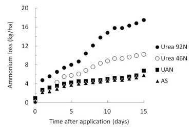Figure 6.  The cumulative loss of N as ammonia from three different types of N fertiliser at Longerenong, Victoria.  The N rates were 92 kg N/ha and 46 kg N/ha of urea and 46 kg N/ha for UAN and ammonium sulphate (from Turner et al 2012).