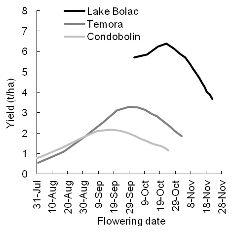 Figure 1.  Mean flowering date (Z65) and yield at each location from 120 year (1890-2009) APSIM simulation with a multiplier applied to yield for heat and frost. 