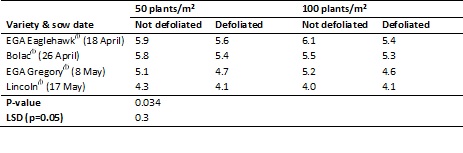 Table 3. Grain yield of four wheat varieties (not defoliated or defoliated) of different maturity sown at Junee in 2012 to flower on the same date. 