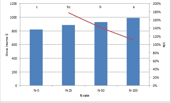 Bar graph and line graph showing Gross Income and ROI compared to N application
