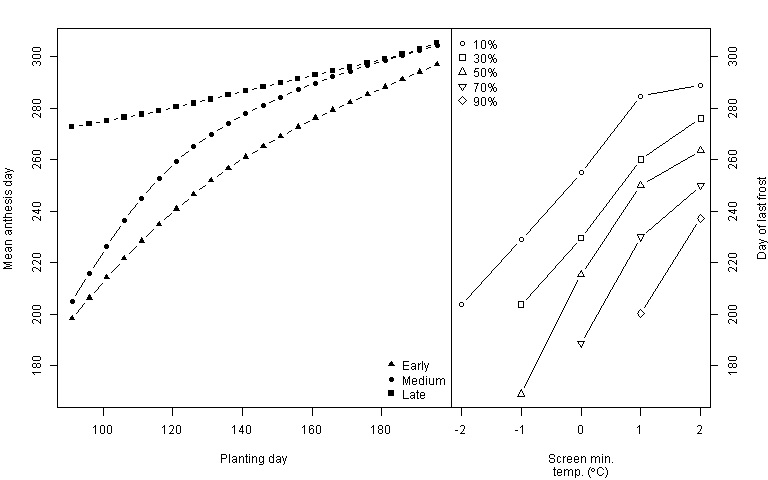 Figure 4: Left: Simulated flowering dates as a function of planting date (1 April = day 90; 15 July = day 197) for an early (e.g. cv ‘AxeA’), medium (e.g. cv ‘YitpiA’) and a late (e.g. cv ‘Rosella’) maturing wheat variety at a Birchip (DS) site. Right: Corresponding frost probabilities, based on the entire temperature record for the period 1950 to 2011.