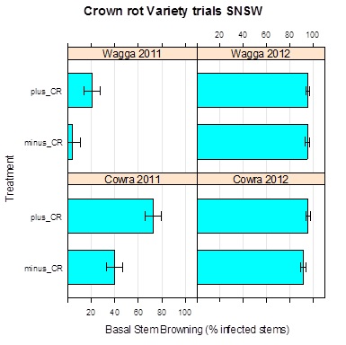 Figure 2. Crown rot trial treatment infection effects measured as basal stem browning incidence in 2011 and 2012 at two locations in SNSW. 
