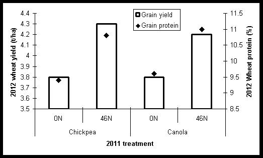 Column graph showing grain yield of wheat with two nitrogen rates (0 and 46 kg/ha) sown over two different 2011 crops (chickpea and canola) at Trangie in 2012. l.s.d. (p = 0.05): Grain yield = 0.11 t/ha, grain protein = 0.19 %