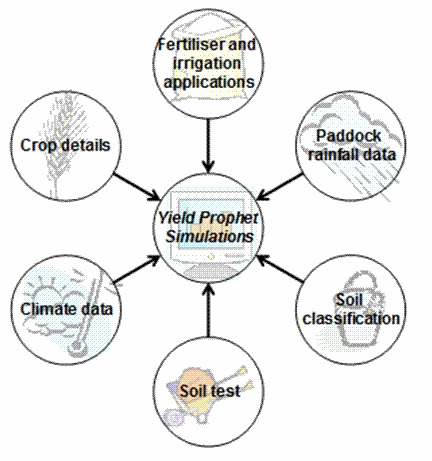 Simulations are fed by input of: Fertiliser and irrigation applications, Paddock rainfall data, Soil classification, Soil test, Climate data, and Crop details.