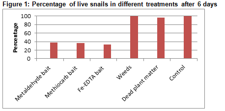 Figure 1: Percentage of live snails in different treatments after 6 days