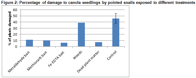 Figure 2: Percentage of damage to canola seedlings by pointed snails exposed to different treatments