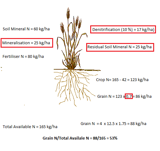 Figure 4: Gross seasonal nitrogen budgets – winter cereal