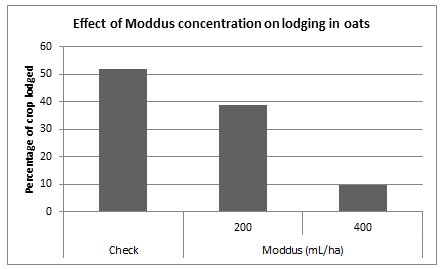 Effect of Moddus® concentration on lodging in oats, when application was at GS31/33. Results displayed are a summary of three trials. 